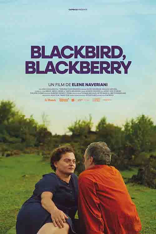 2023年 黑鸟黑鸟黑莓 Blackbird Blackbird Blackberry
